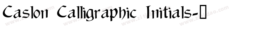 Caslon Calligraphic Initials字体转换